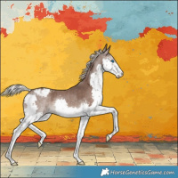 Horse Color:Silver Black Splash Snowcap Rabicano 
