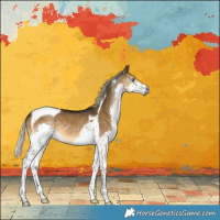 Horse Color:Gray Silver Buckskin Dun Splash Tobiano 