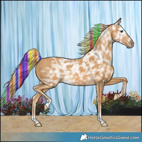 Horse Color:Painted Palomino Ice 