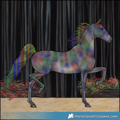 Horse Color:Painted Nacre Black Rabicano