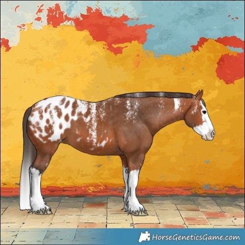 Horse Color:Powder White Bay Splash Blanket 