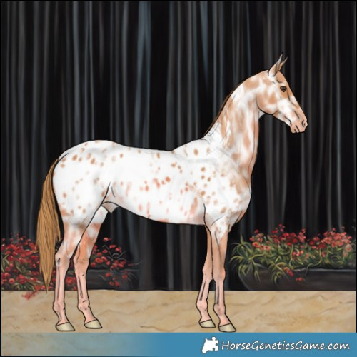 Horse Color:Watercolor Chestnut Ice Blanket 