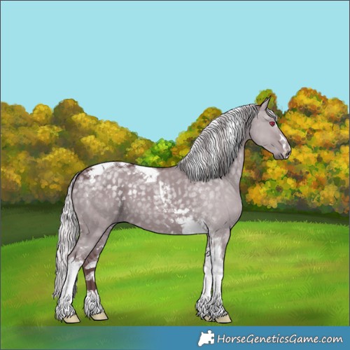 Horse Color:Chocolate Silver Grullo Chinchilla Tobiano