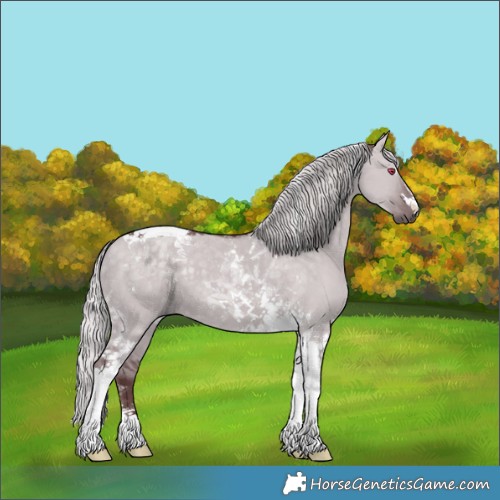 Horse Color:Chocolate Silver Grullo Chinchilla Tobiano