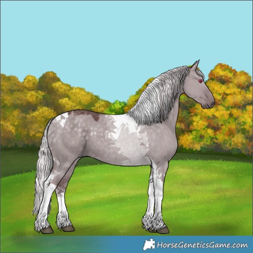 Horse Color:Chocolate Silver Grullo Chinchilla Tobiano 