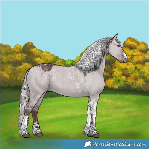 Horse Color:Chocolate Silver Grullo Chinchilla Tobiano 