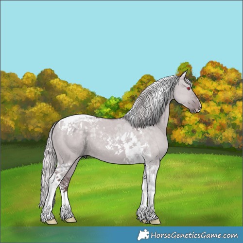 Horse Color:Chocolate Silver Grullo Chinchilla Tobiano