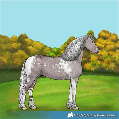 Horse Color:Chocolate Silver Grullo Chinchilla Tobiano 