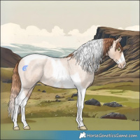 Horse Color:Gold Champagne Roan Dun Splash Tobiano Frame Varnish Rabicano 