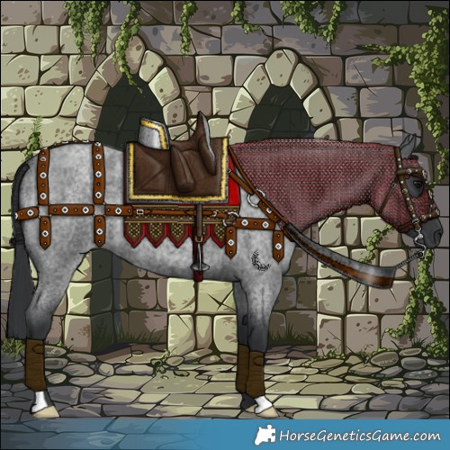 Horse Color:Blue Roan