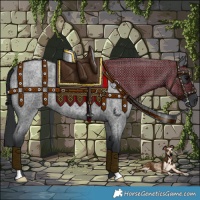 Horse Color:Blue Roan 