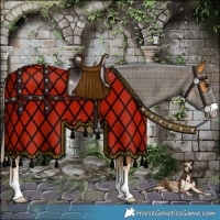 Horse Color:Palomino 