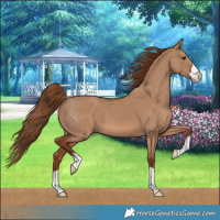 Horse Color:Red Dun 