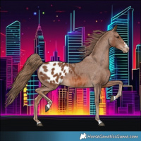 Horse Color:Chestnut Blanket 
