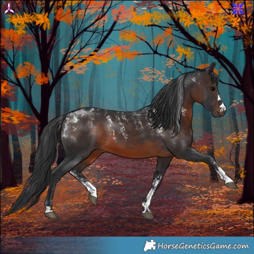 Horse Color:Powder White Brown 