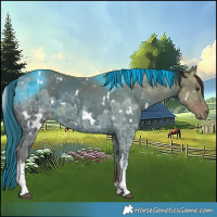 Horse Color:White Spotted Liver Chestnut Ice 