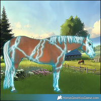Horse Color:Thunderstruck White Spotted Chestnut Mushroom 