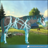 Horse Color:Thunderstruck White Spotted Liver Chestnut 