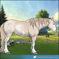 Horse Color:Smoky Creme 