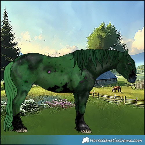 Horse Color:ERROR: UNKNOWN ANOMALY