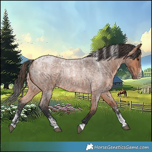 Horse Color:Powder White Bay Roan