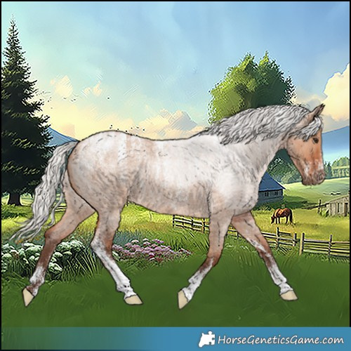 Horse Color:Powder White Silver Bay Roan Dun 