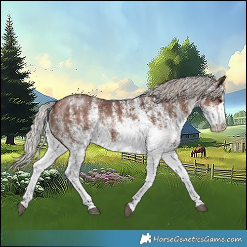 Horse Color:White Spotted Silver Brown 