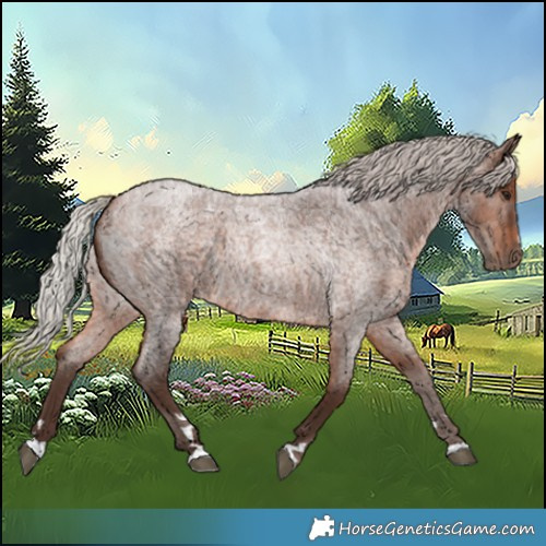 Horse Color:Silver Brown Roan