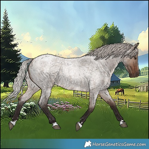 Horse Color:Silver Brown Roan Dun 