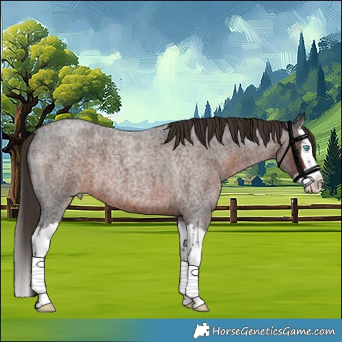 Horse Color:Liver Red Roan Splash 