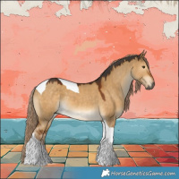Horse Color:Gray Chocolate Palomino Dun Tobiano 