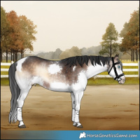 Horse Color:Brown Onyx Splash Tobiano 