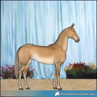 Horse Color:Chocolate Palomino Dun