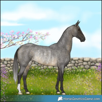 Horse Color:Buckskin Roan Rabicano 