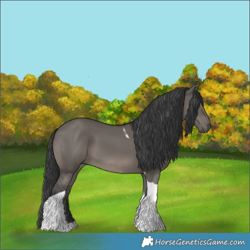 Horse Color:Grullo Tobiano 