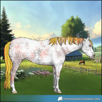 Horse Color:Painted White Spotted Silver Grullo Chinchilla Ice Splash Tobiano Frame 