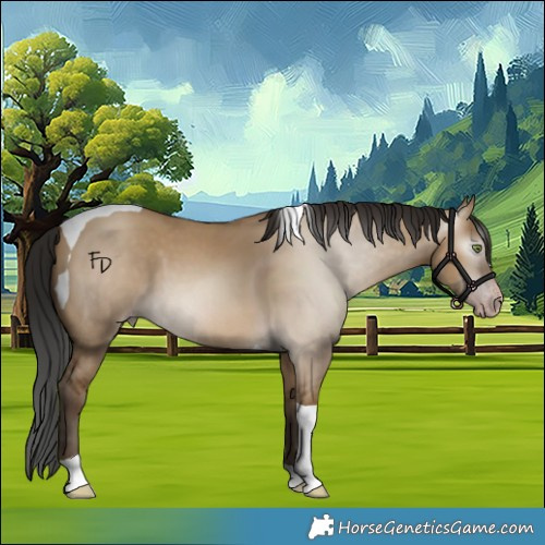 Horse Color:Gray Amber Champagne Dun Tobiano 
