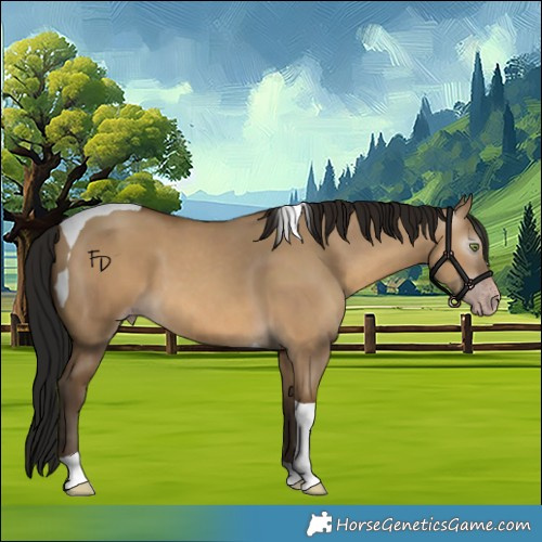 Horse Color:Gray Amber Champagne Dun Tobiano