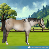 Horse Color:Gray Amber Champagne Dun Tobiano 