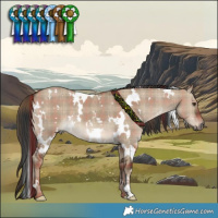 Horse Color:Plaid White Spotted Liver Red Dun