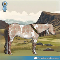 Horse Color:Plaid  White Spotted Liver Red Dun 
