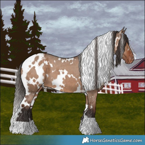 Horse Color:White Spotted Liver Red Dun Appaloosa 