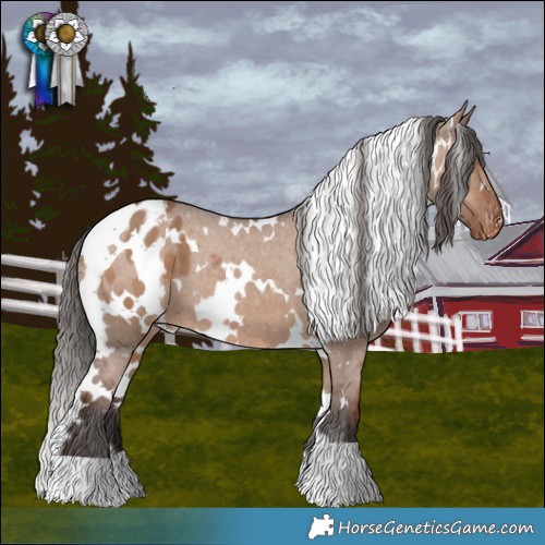 Horse Color:White Spotted Liver Red Dun Appaloosa 