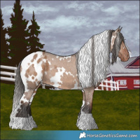 Horse Color:White Spotted Liver Red Dun Appaloosa 