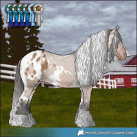 Horse Color:White Spotted Liver Red Dun Appaloosa