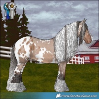 Horse Color:White Spotted Liver Red Dun Appaloosa 