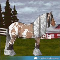 Horse Color:White Spotted Liver Red Dun Appaloosa 