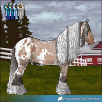 Horse Color:White Spotted Liver Red Dun Appaloosa