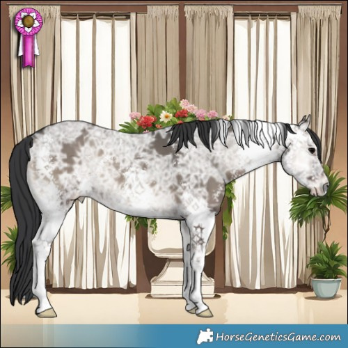 Horse Color:Grullo Ice Onyx Sabino