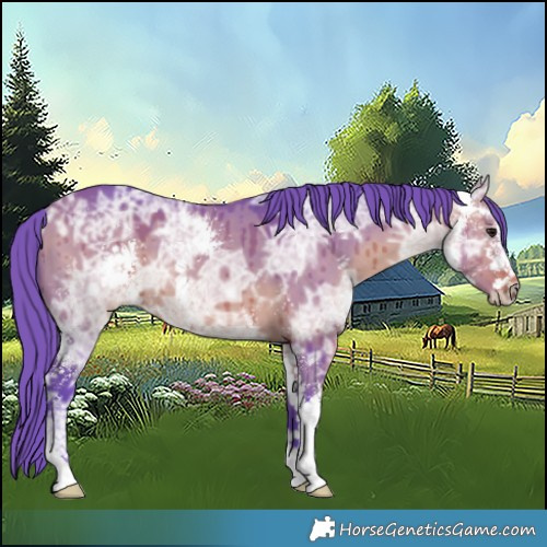 Horse Color:Watercolor Bay Ice Dun Sabino Brindle
